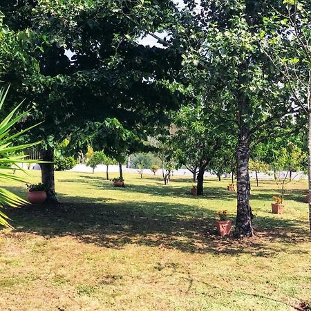 Casa Da Barrosa Villa Caminha Kültér fotó