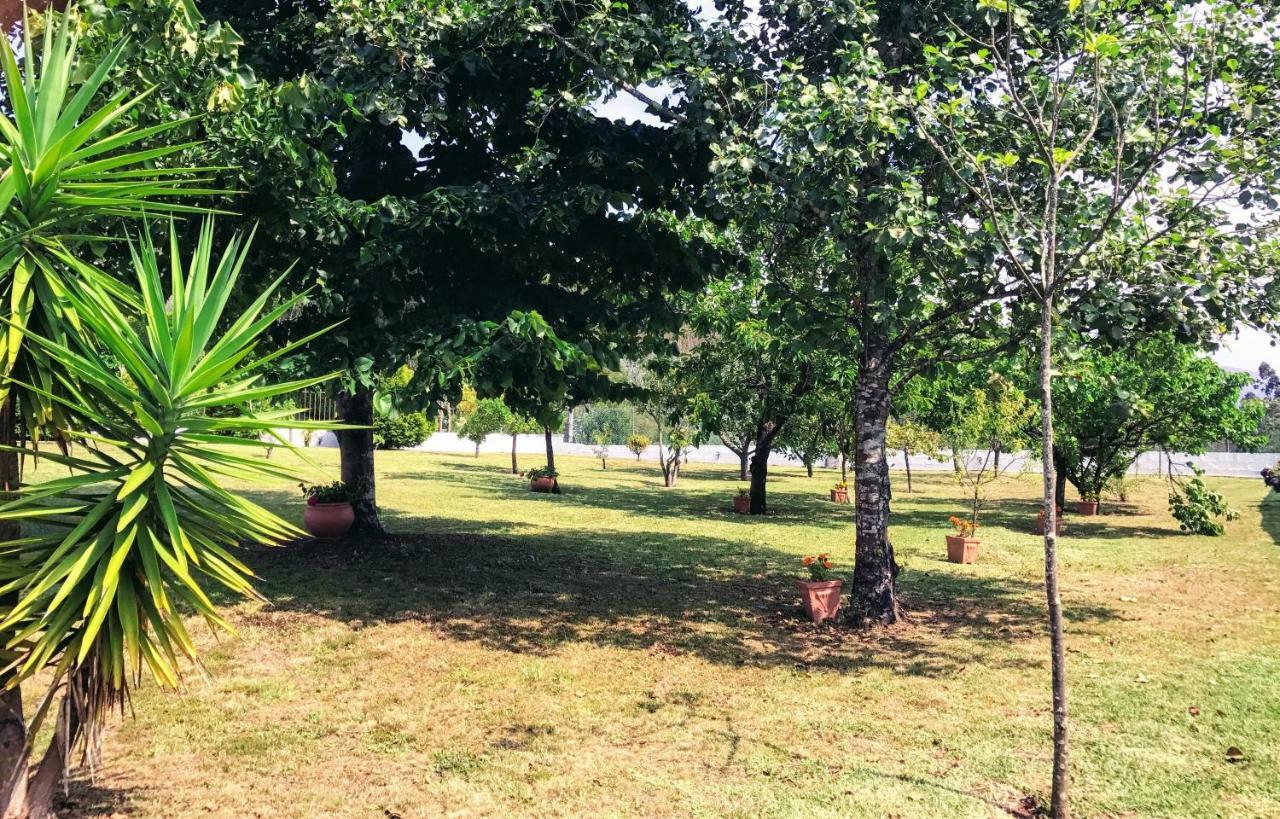 Casa Da Barrosa Villa Caminha Kültér fotó
